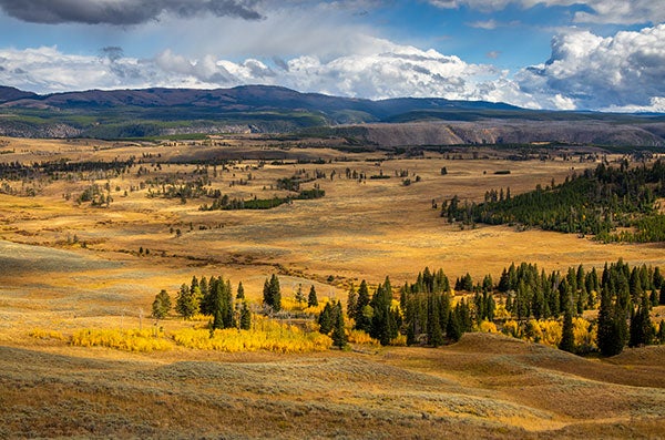 Yellowstone National Park